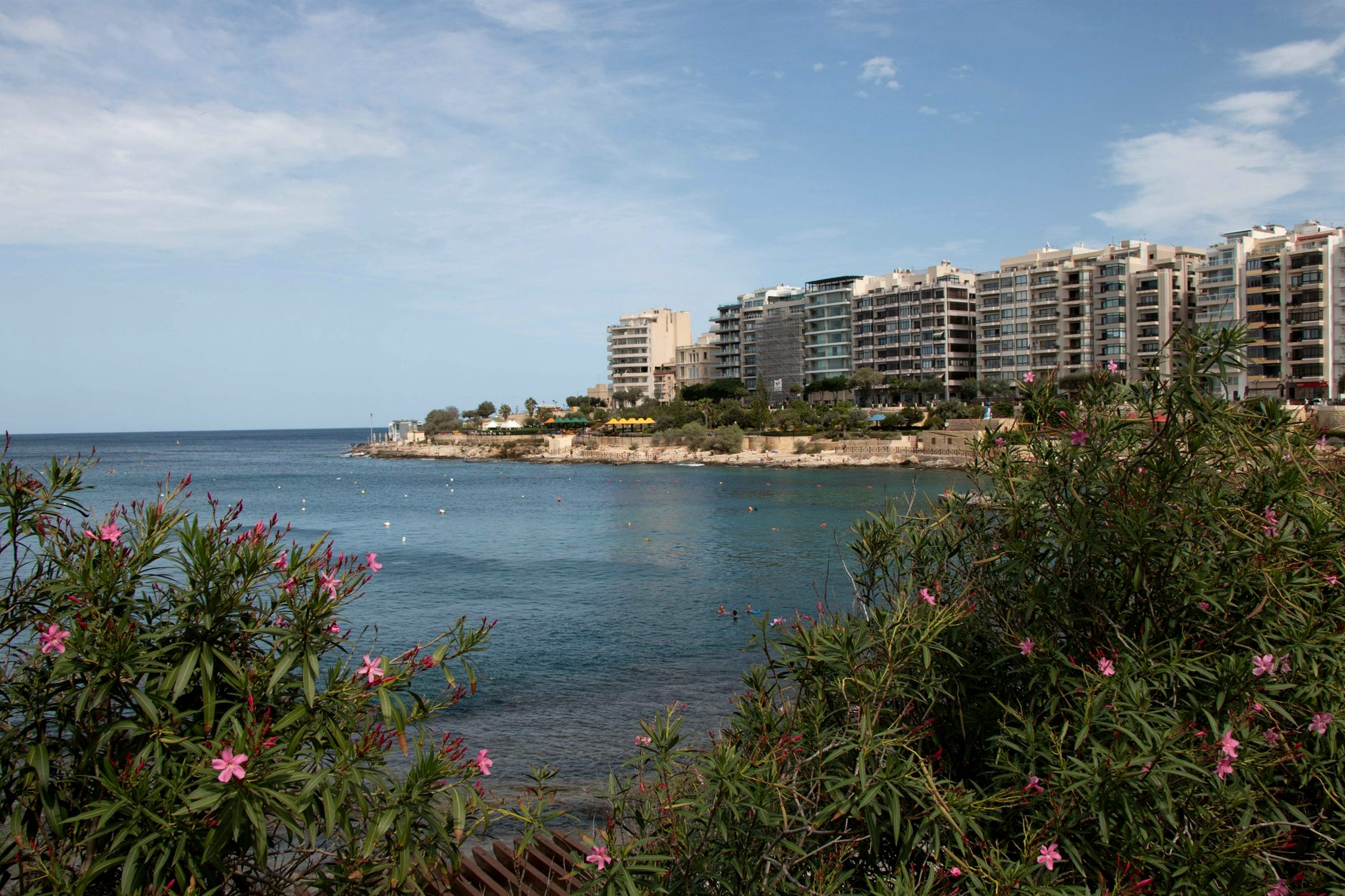 Sliema seafront apartments across the bay, Malta, with oleanders